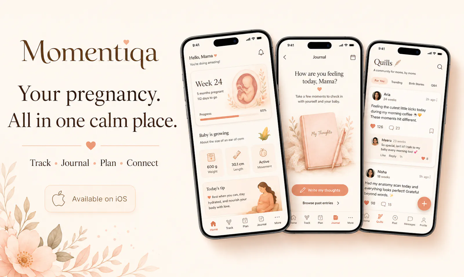 Momentiqa screenshot 2