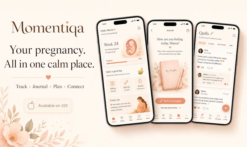 Momentiqa screenshot 2