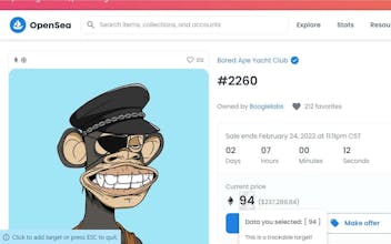 Quokka gallery image