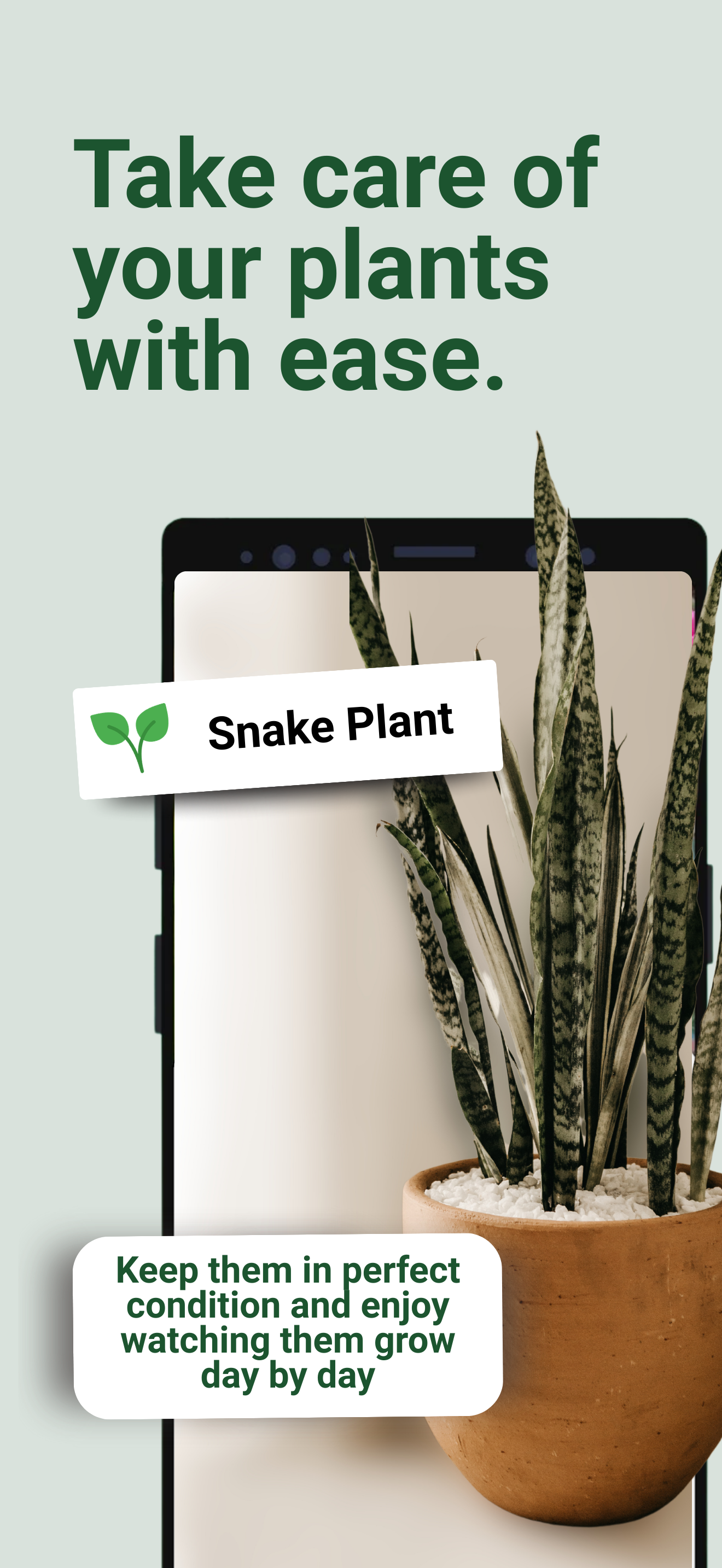 Broticola - Plant diagnostics with AI gallery image