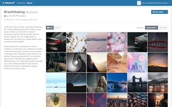 Stribute.io gallery image