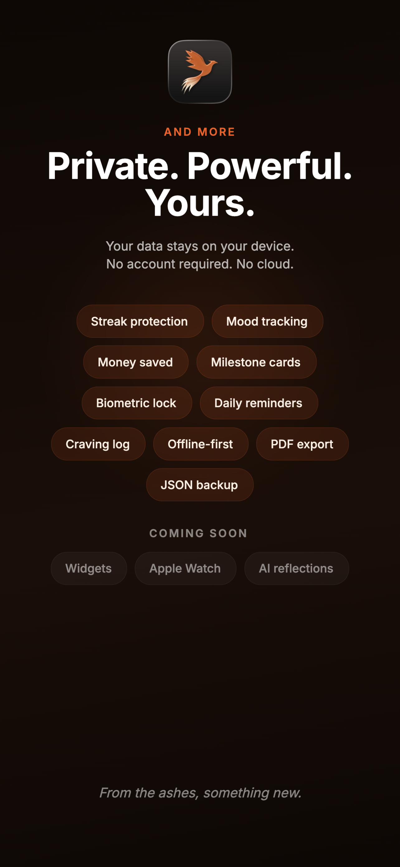 Ashrise - Sobriety Tracker gallery image