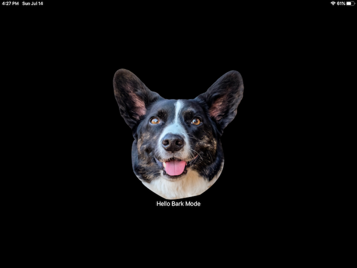 BarkMode gallery image