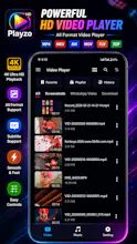 Video player for all format gallery image