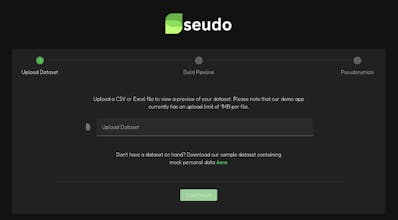 Seudo gallery image