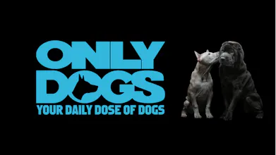 Only Dogs gallery image