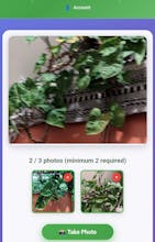 Name This Plant gallery image