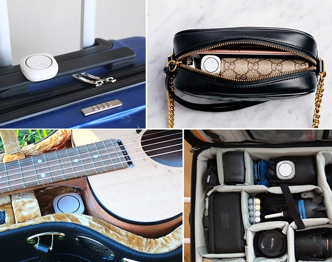 when is national pet day 2021 gallery image