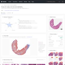 HistoAtlas gallery image