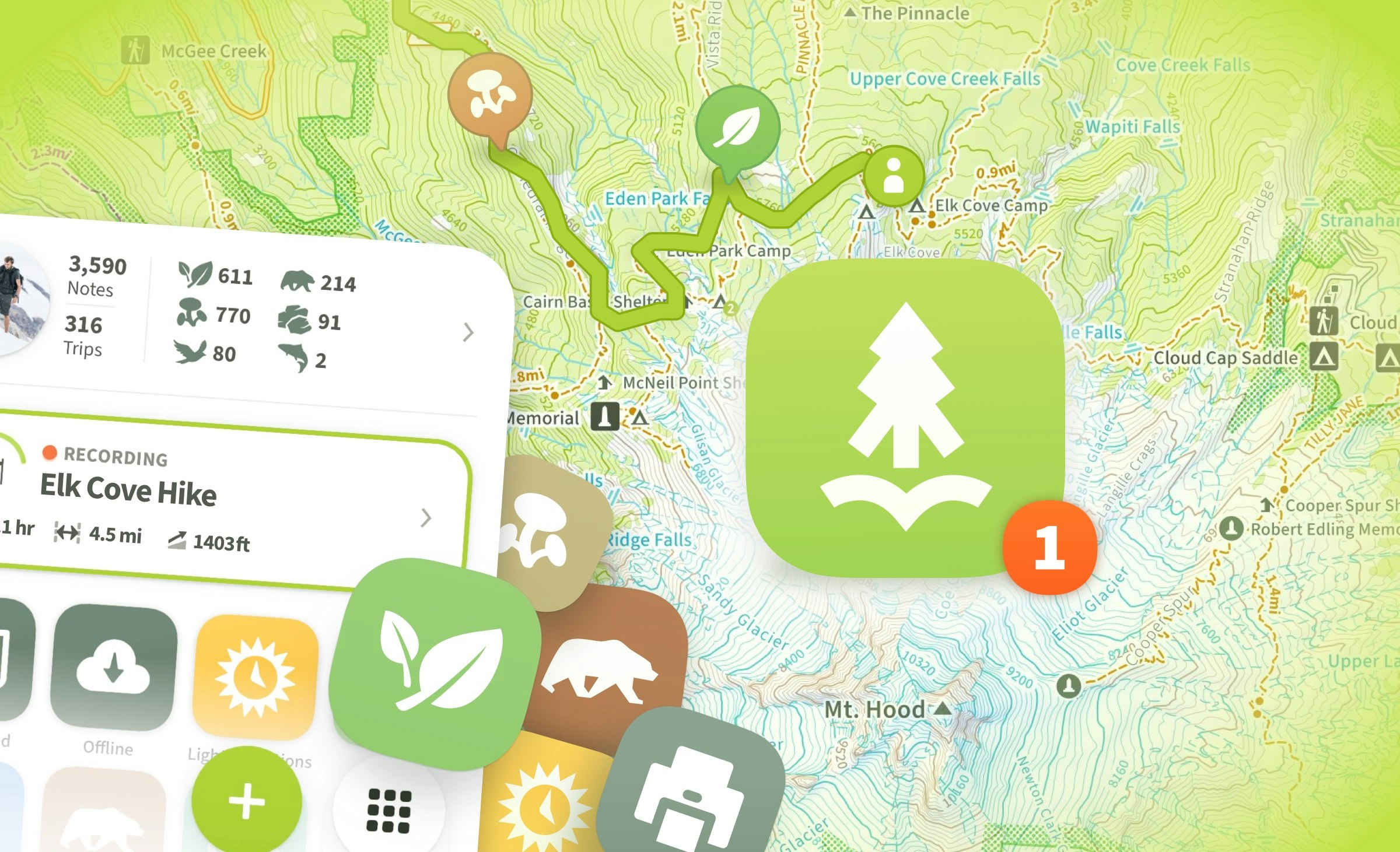 Mídia 1 de Atlas natural - O melhor mapa e gravador de campo da natureza no seu bolso