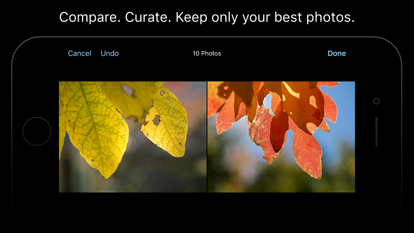 Keepers gallery image