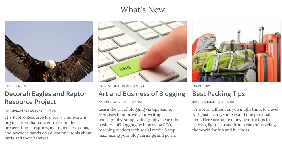 Learnist gallery image