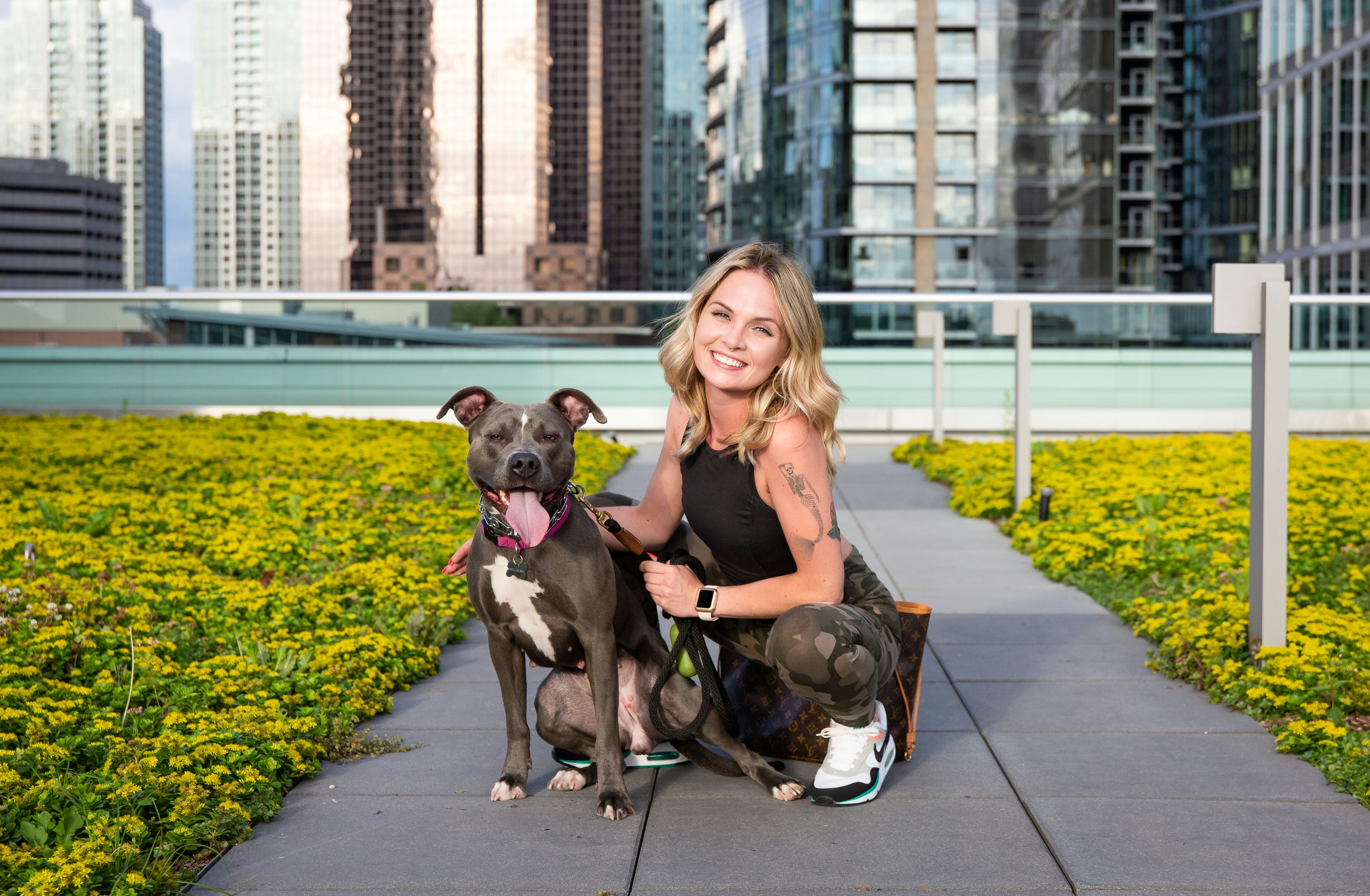 Dig 2.0 gallery image