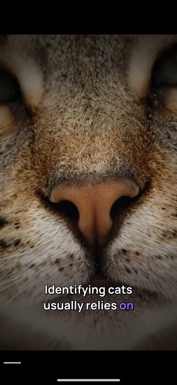 AdShorts AI gallery image