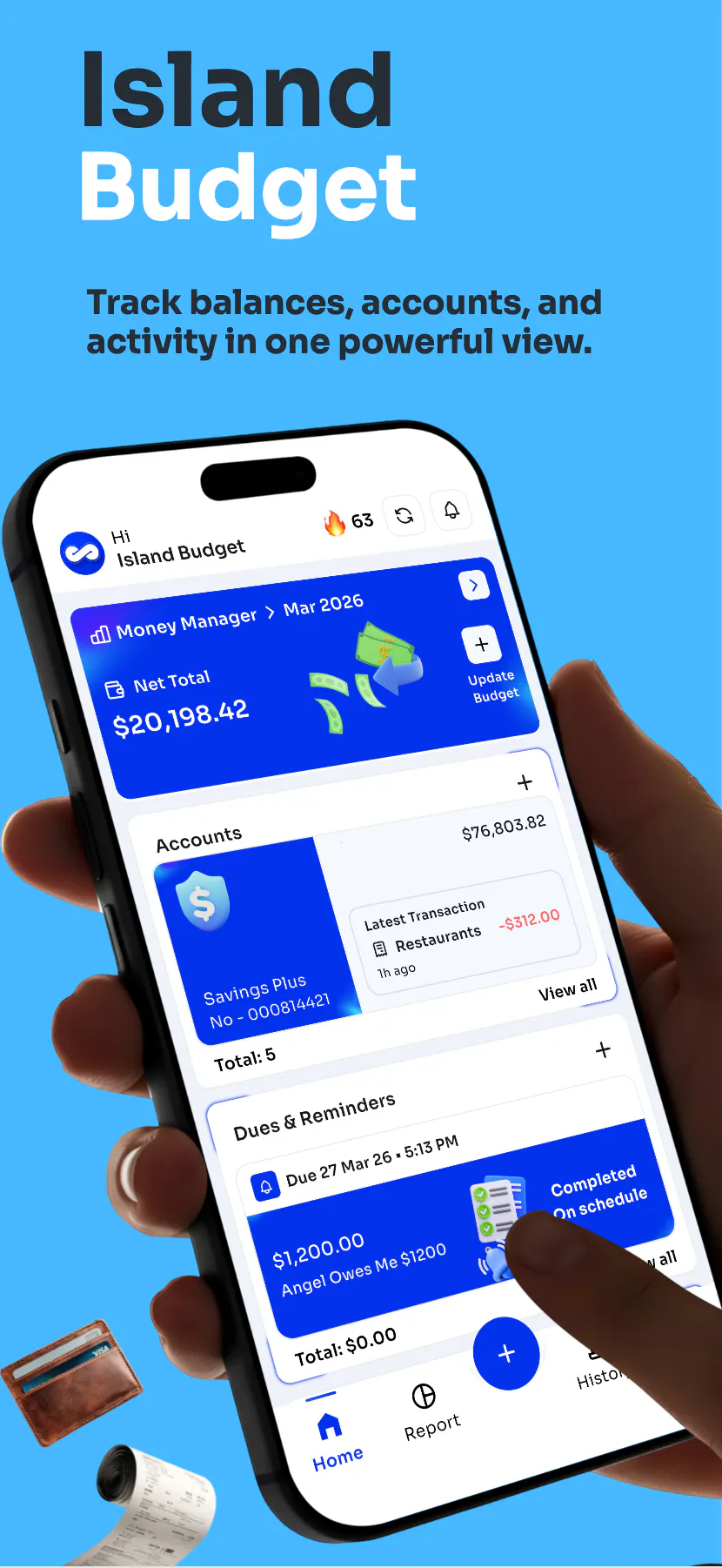 Island Budget 專案橫幅