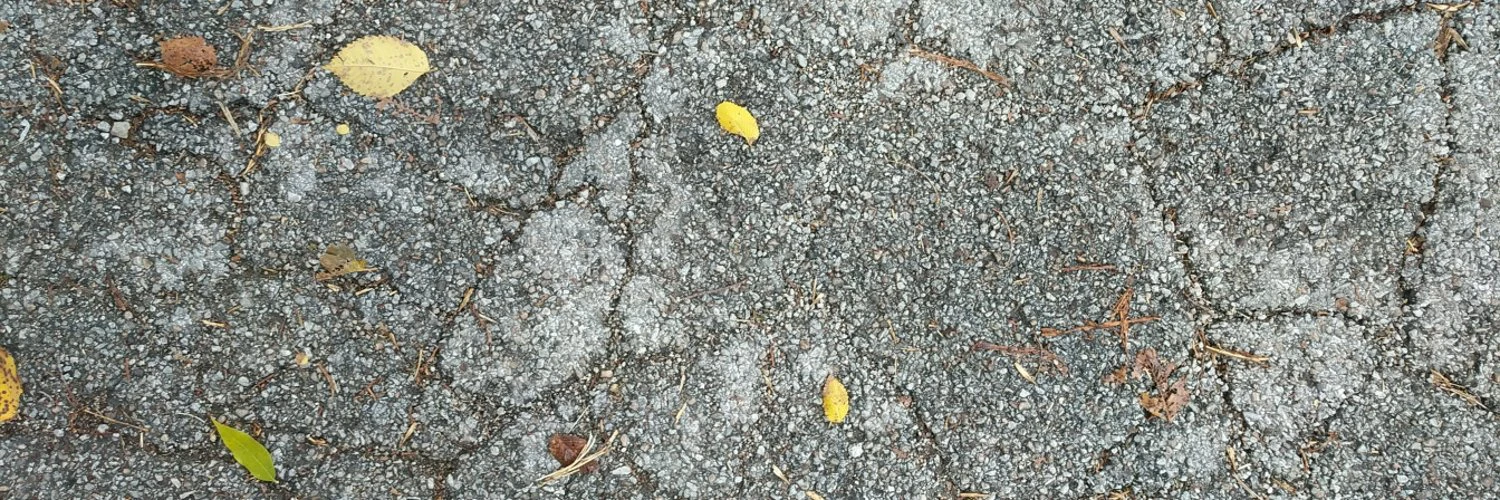 John Sorrentino cover