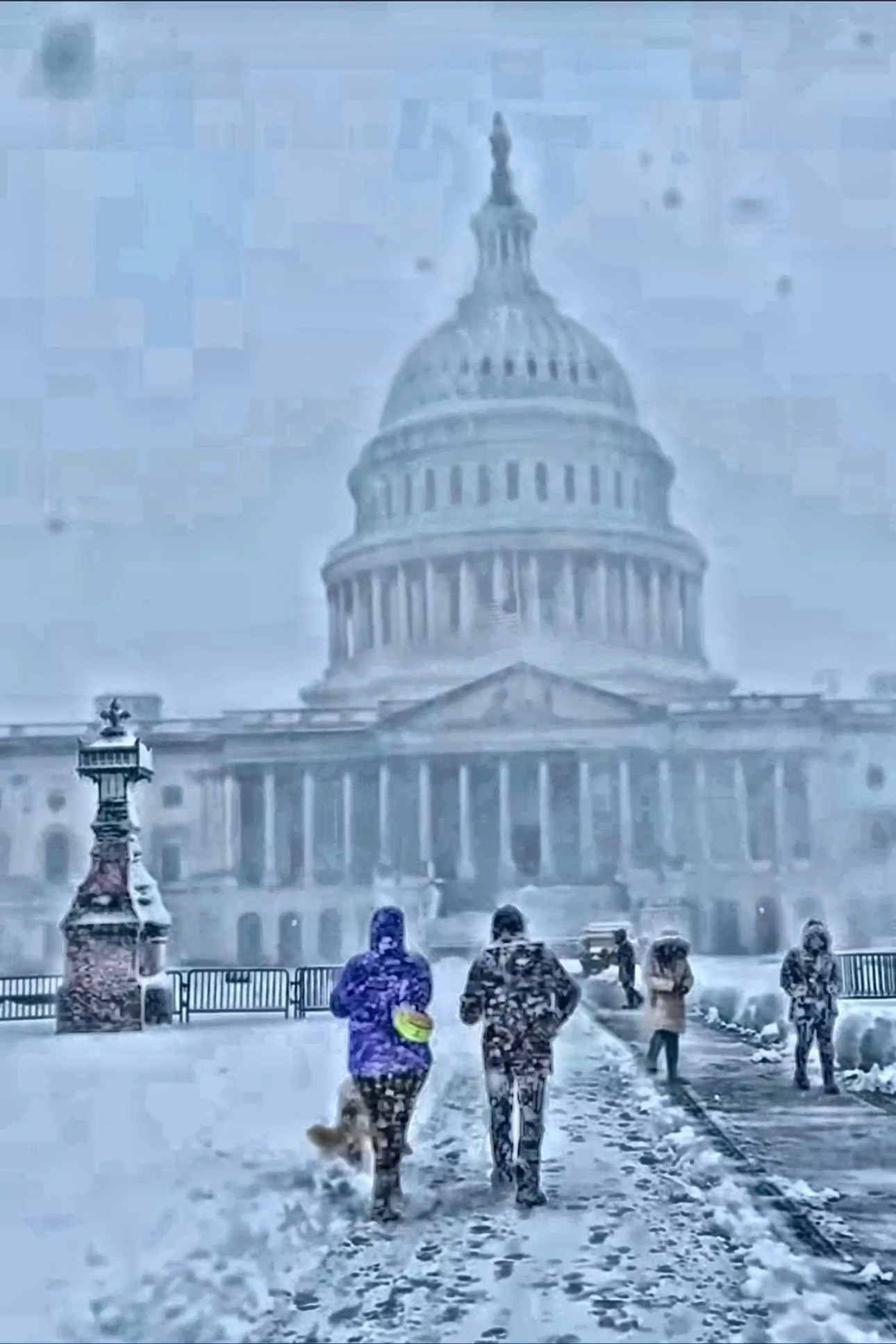 ClearView Basic&Pro gallery image