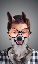 Funny Photo Effects gallery image