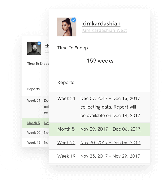 SnoopReport gallery image