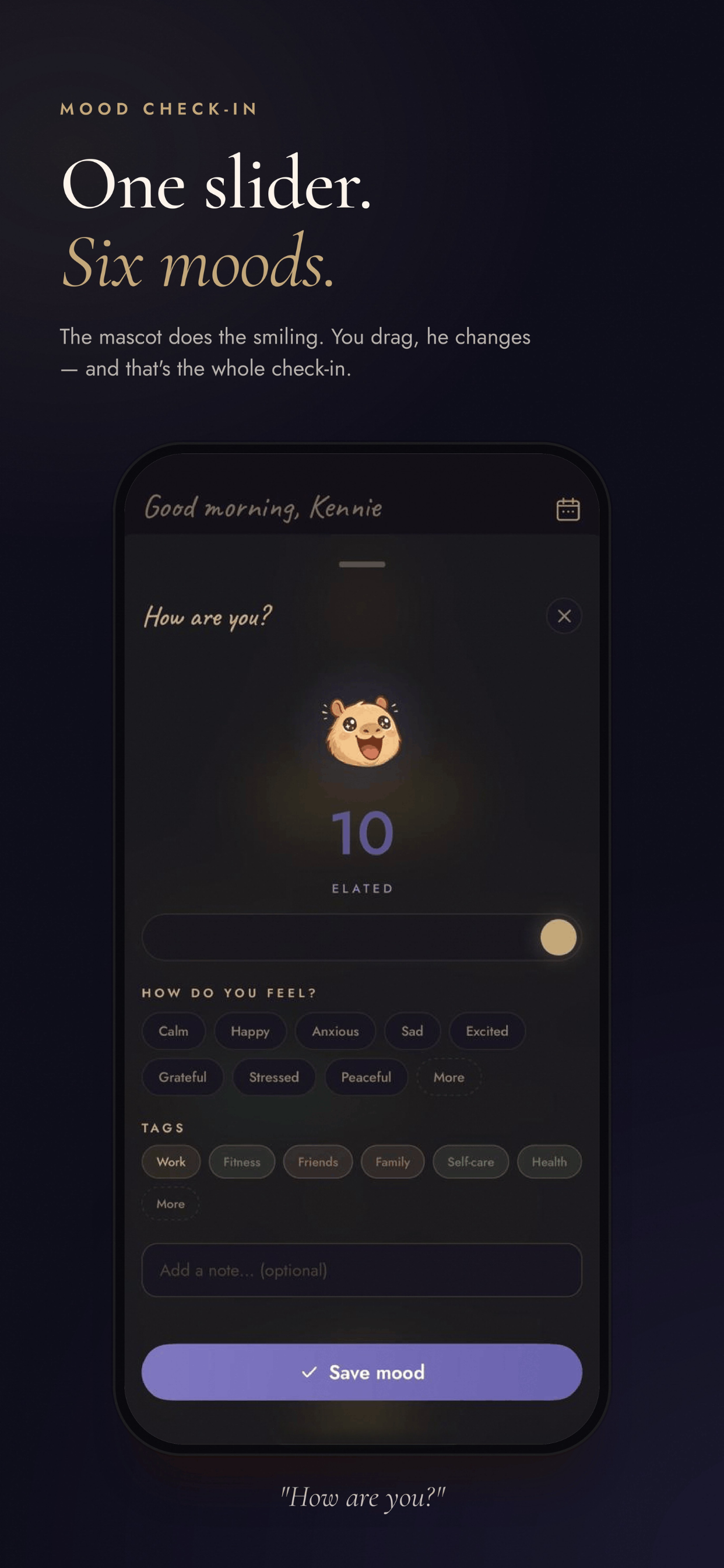 Dumdum gallery image