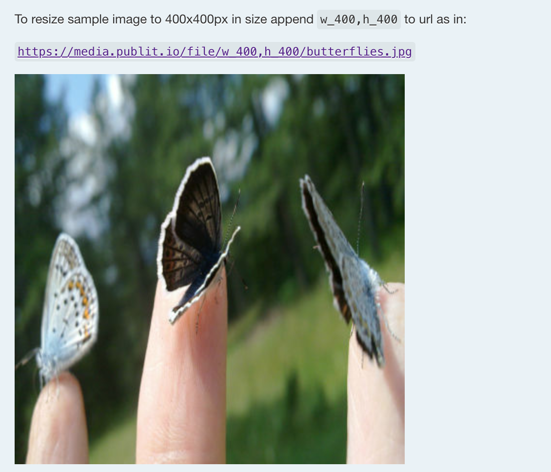 Publitio gallery image