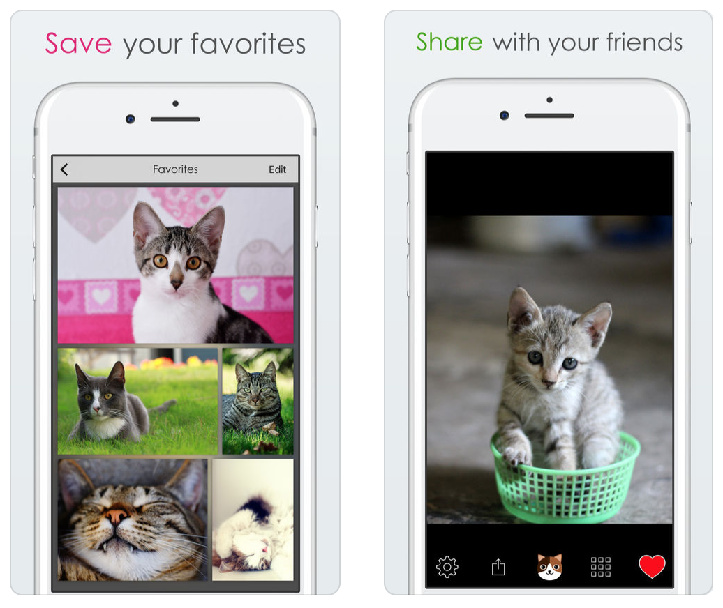 Shake For Cats gallery image