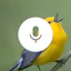 Songbird