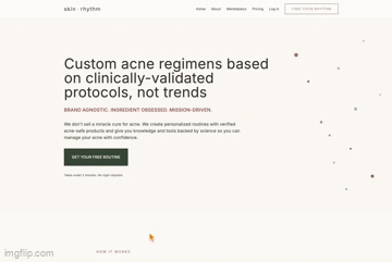 SkinRhythm - Main screenshot showing features and interface