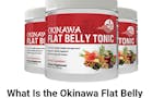 Okinawa Flat Belly Tonic image