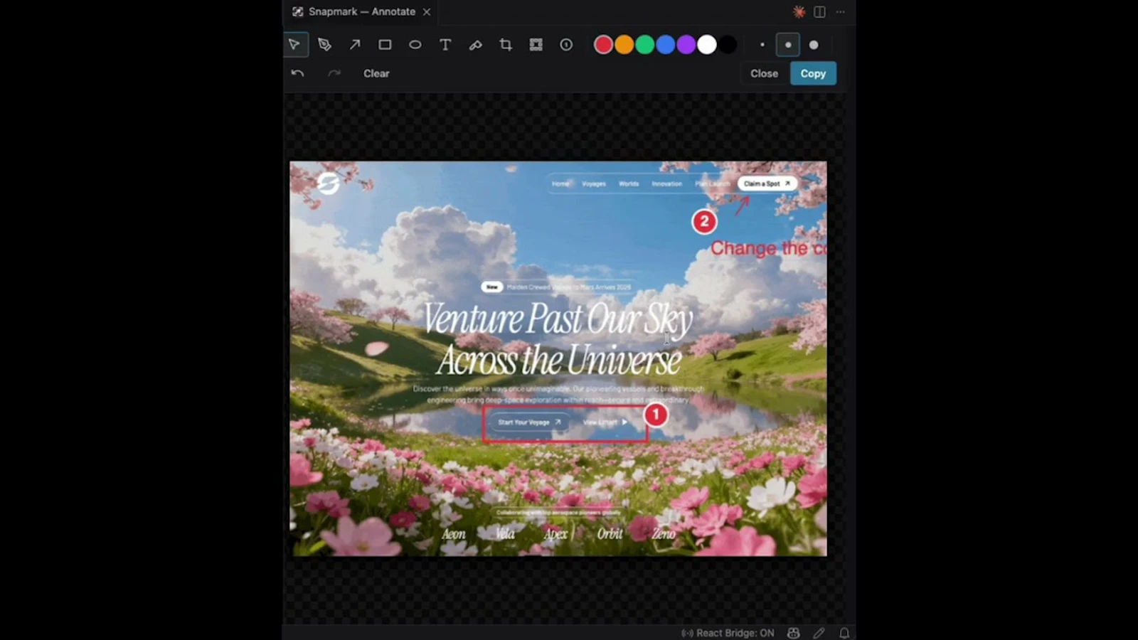 Snapmark screenshot 1 (video preview)