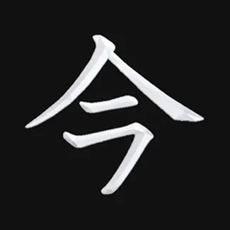 nenspace logo