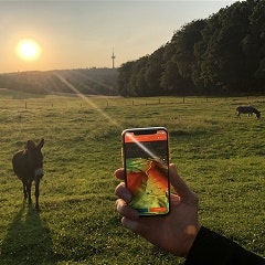 planlauf/MOCKUP