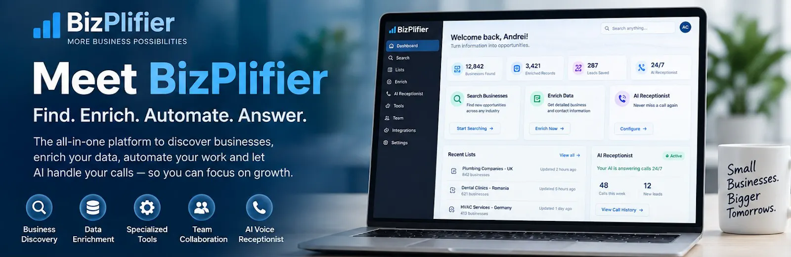 BizPlifier screenshot 2