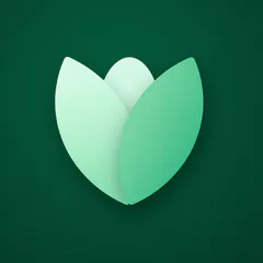 Plant Keep