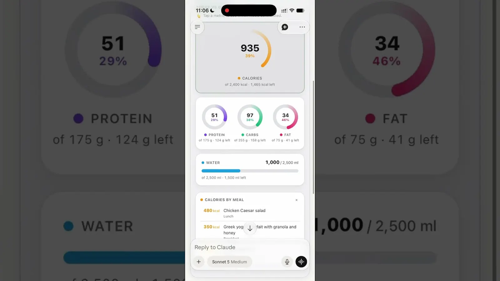 Nutrition MCP screenshot 1 (video preview)