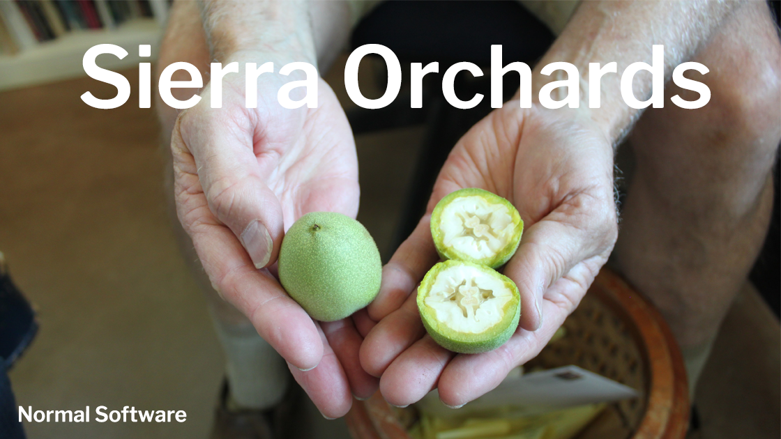 Normal Software gallery image