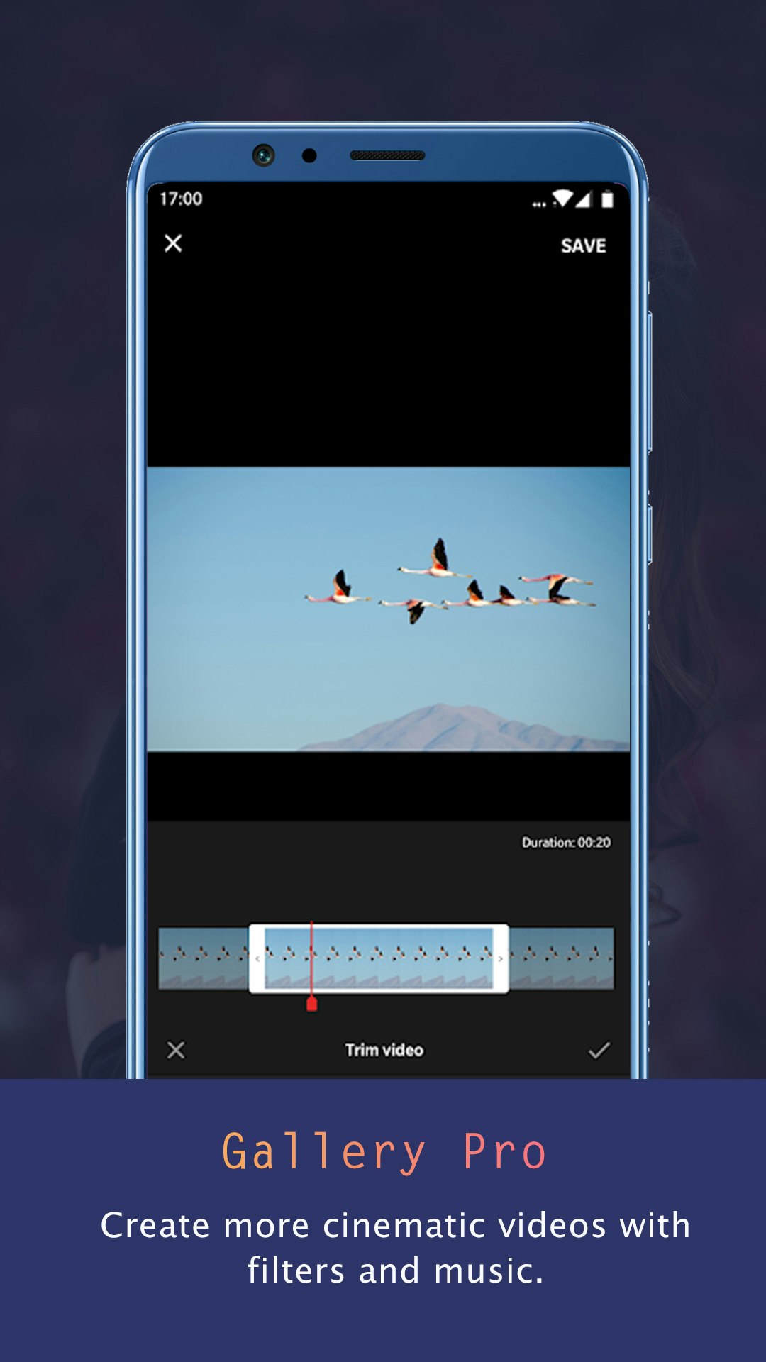 Gallery Pro - Photo Video Gallery gallery image