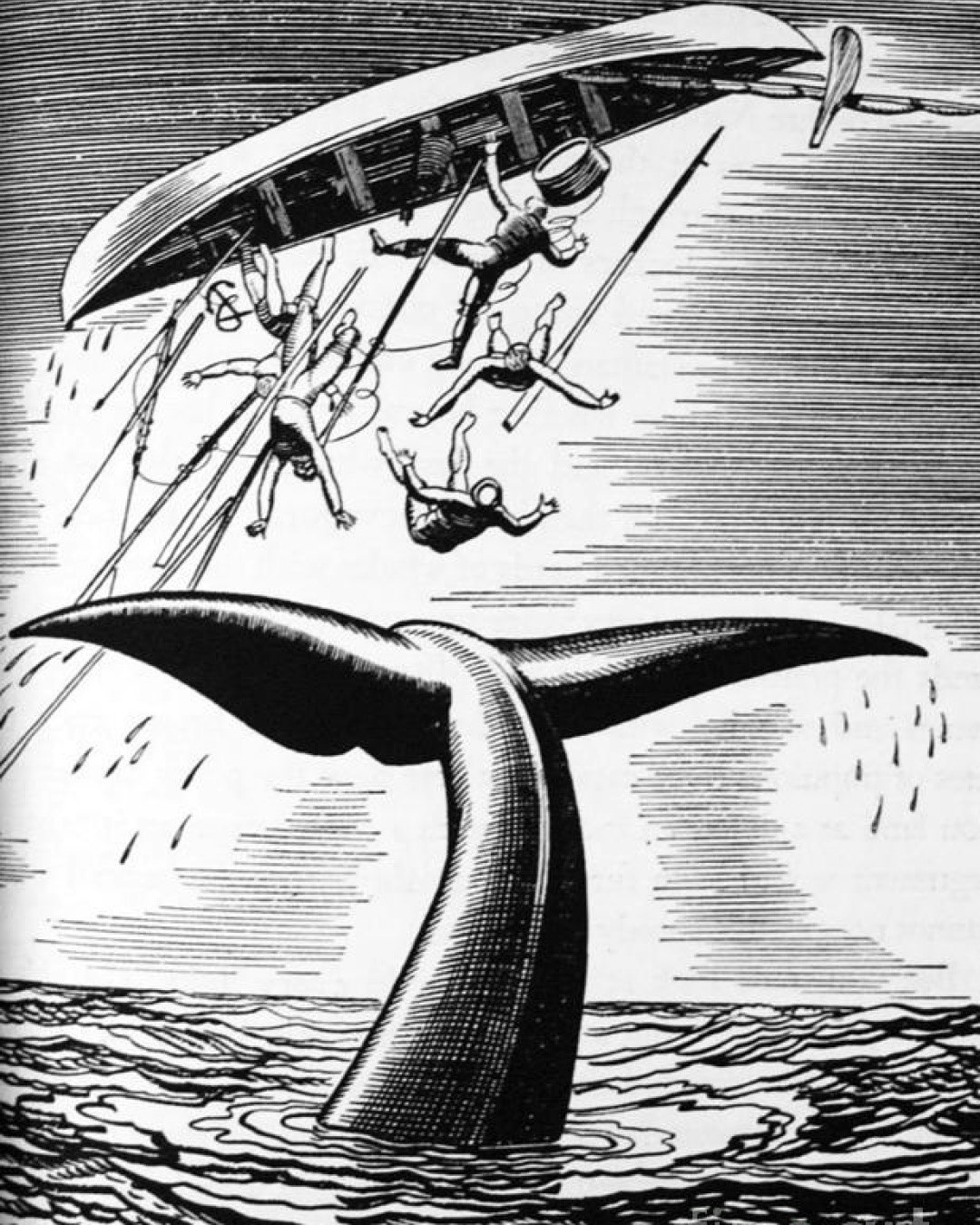 Dick Pic Repository gallery image