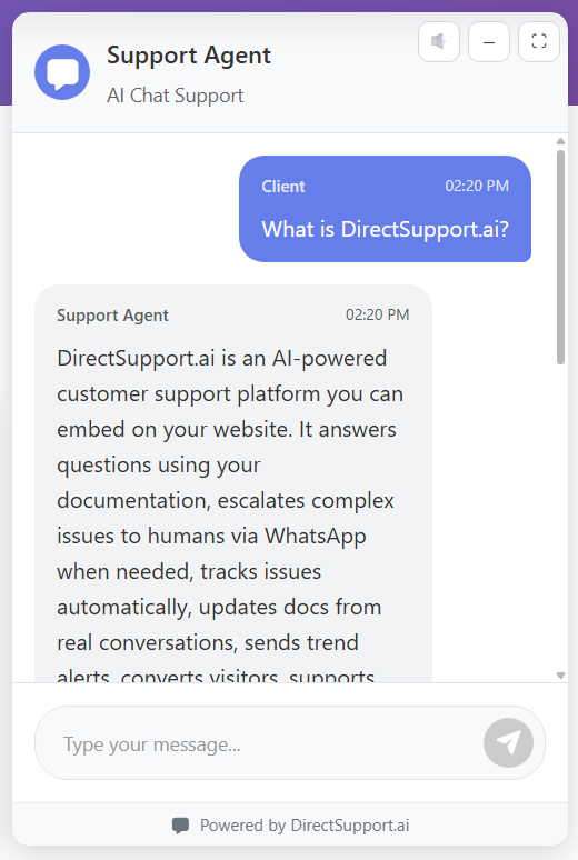 DirectSupport.ai screenshot 2