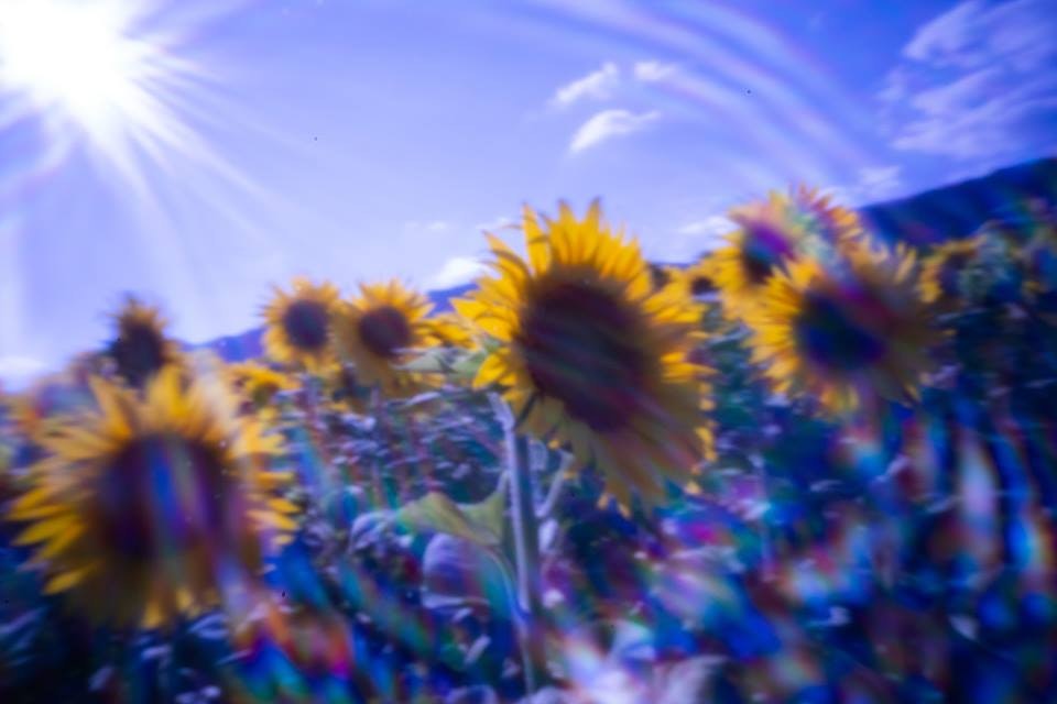 Pinhole Pro Max gallery image