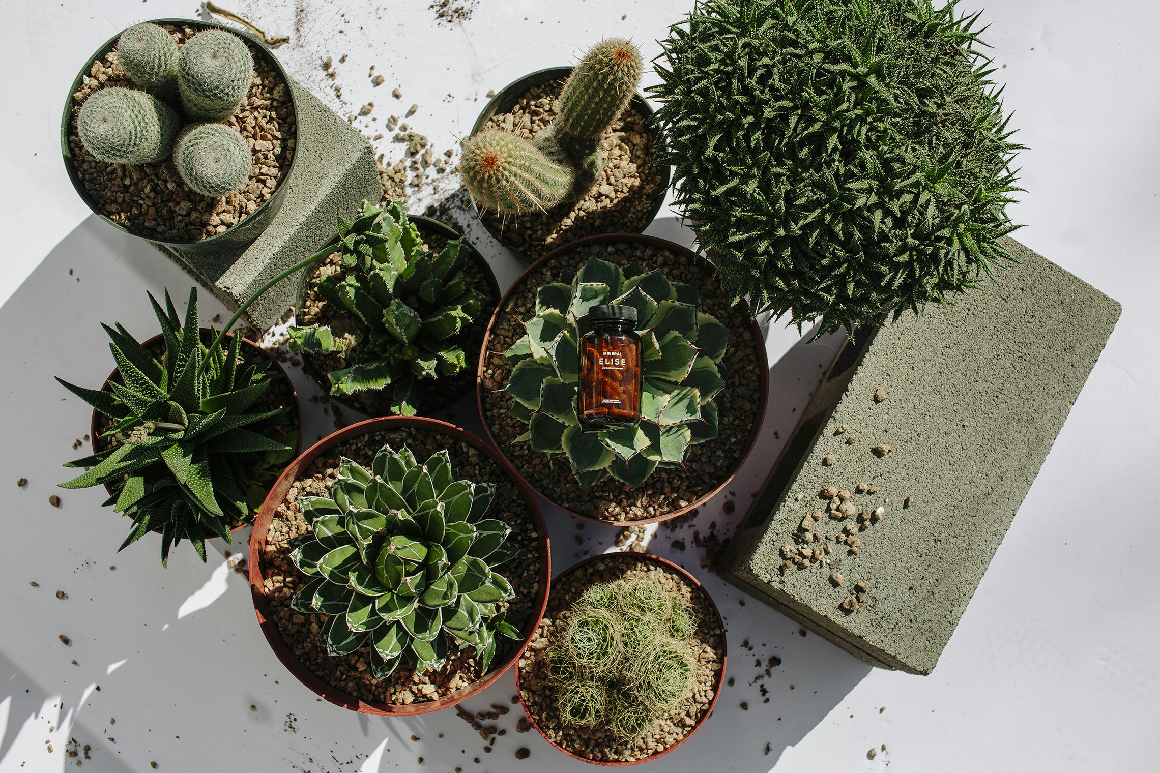 ELISE by Mineral gallery image