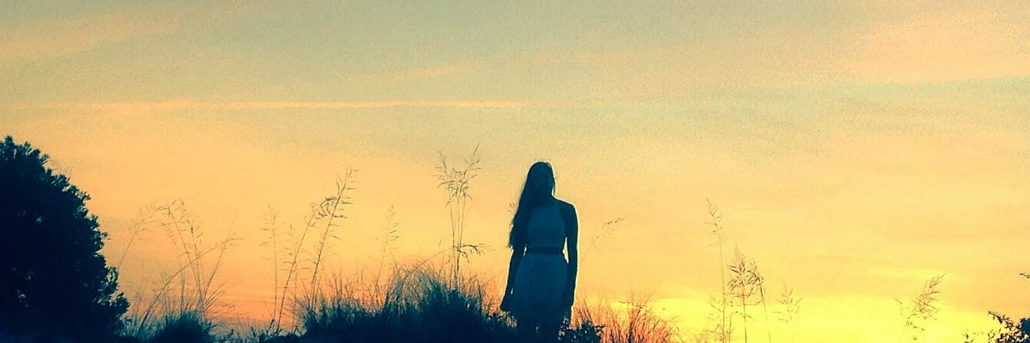 Sean Zarringhalam cover