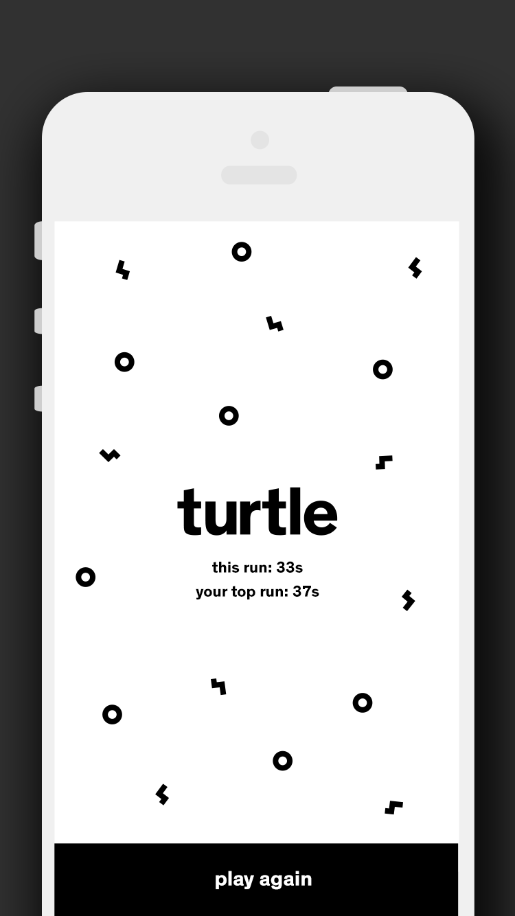 Turtle gallery image