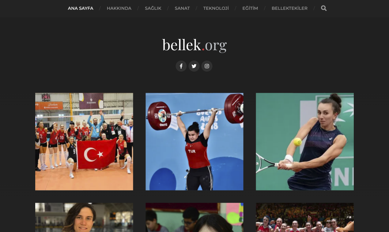 Bellek.org gallery image
