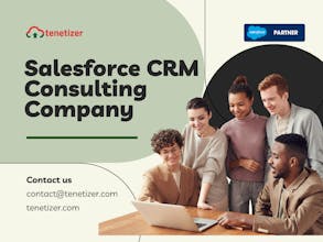Tenetizer Salesforce Integration Product gallery image