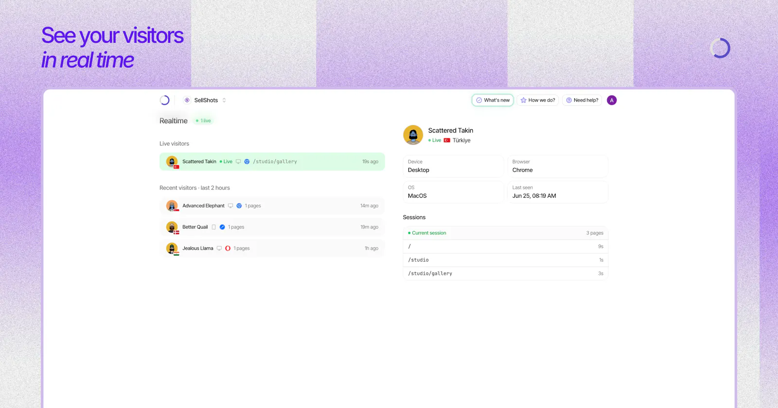 Sleek Analytics screenshot 4