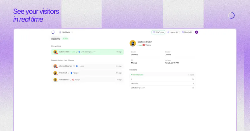 Sleek Analytics screenshot 4