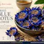 Brit Lanka Ltd