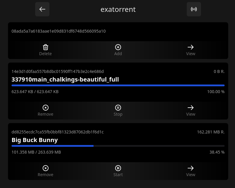 exatorrent gallery image