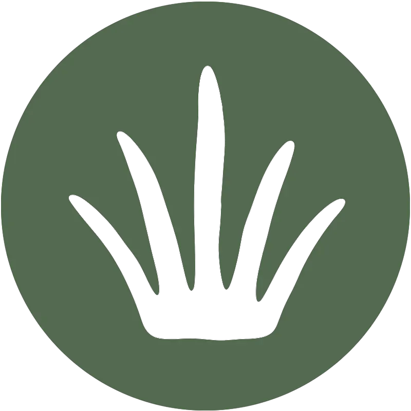 TouchGrass gallery image